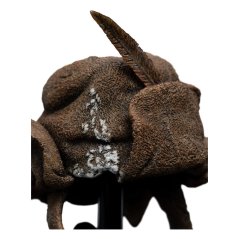 Hobbit replika 1/4 The Hat of Radagast the Brown 15 cm
