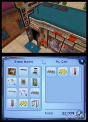 Sims 3 (3DS)