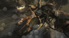Tomb Raider (XBOX 360)